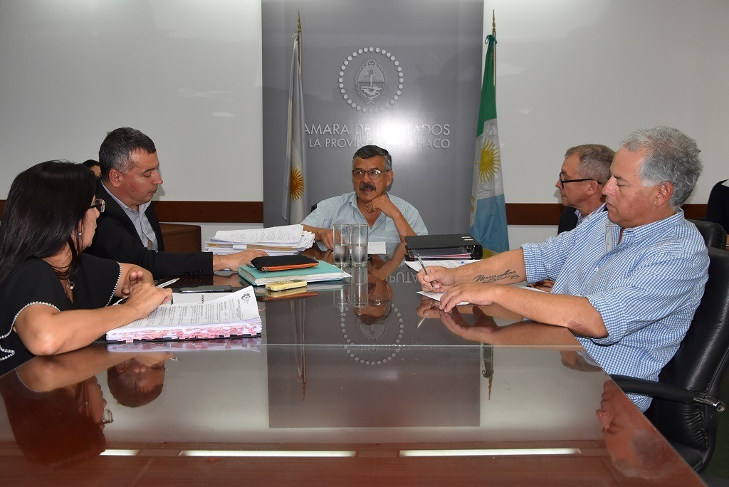 reunion-de-la-Comision-de-Industria-Comercio-y-Defensa-del-Consumidor-del-Poder-Legislativo-del-Chaco