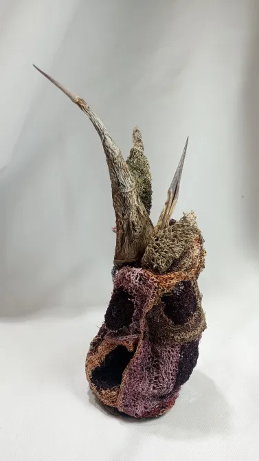 Salon-Regional-de-Aficionados-Primer-Premio-25-02-25-01