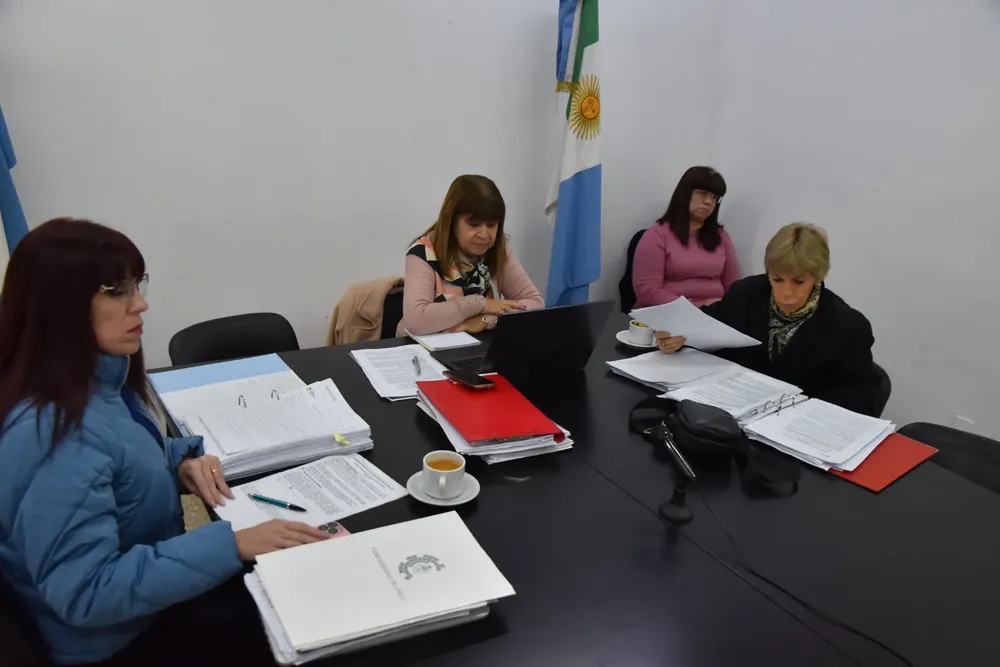 Comision-de-Educacion-24-06-25-01