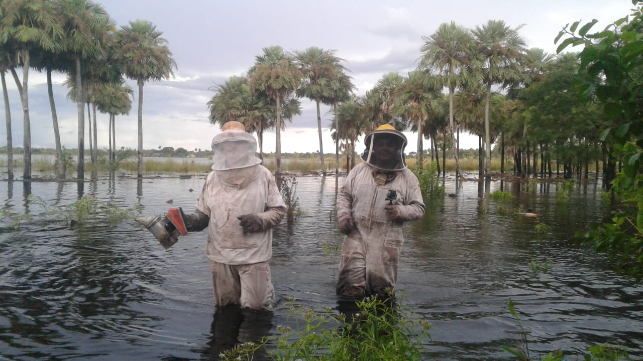 Emergencia-Basail-19-01-15-06