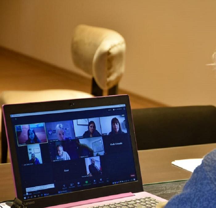 diputados-reunion-virtual-con-nancy-sotelo-presidenta-del-INADI 2020--28