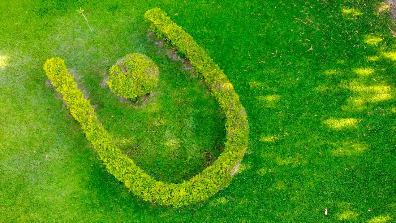 UNNE- Verde (1)