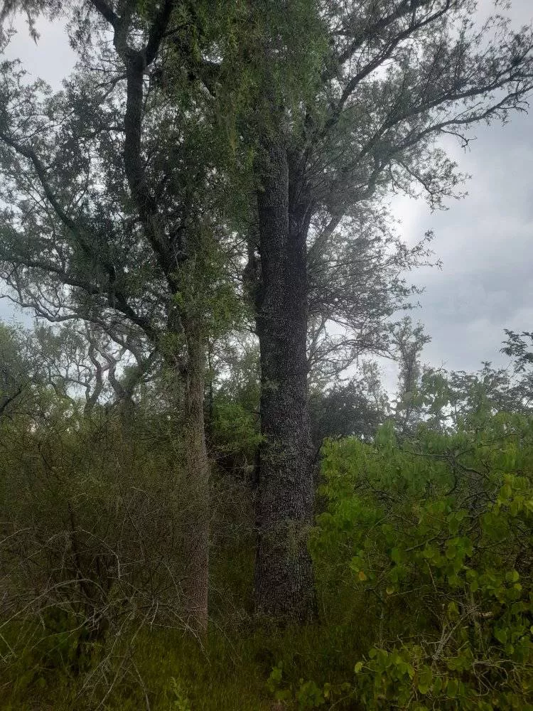 Parque-Natural-Loro-Hablador-22-05-20-04