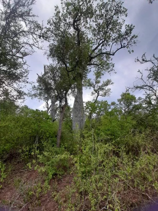 Parque-Natural-Loro-Hablador-22-05-20-06