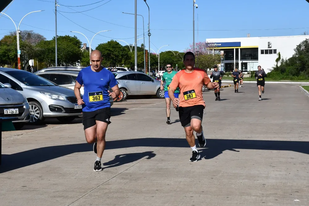 Maraton-animalista-26-08-12-08