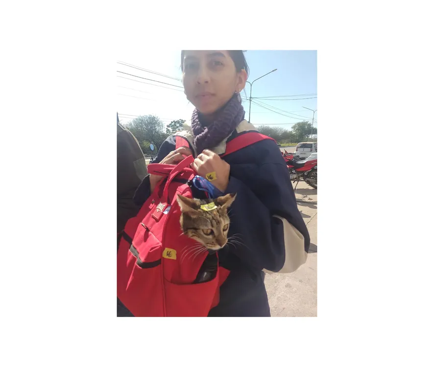 Mision-Animal-Castraciones-24-09-09-05