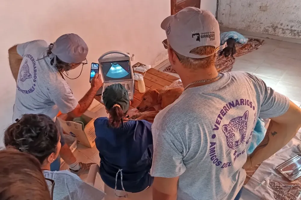 Amigos-veterinarios-del-Impenetrable-23-09-28-14