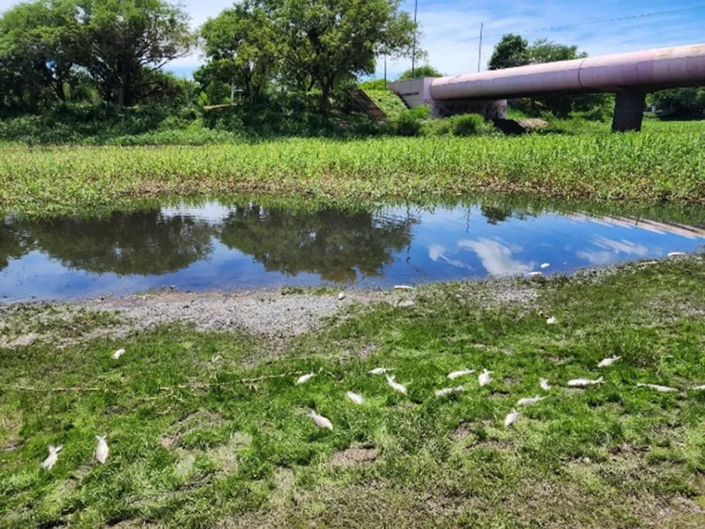 APA-Muestras-de-agua-del-rio-Negro-25-12-02-02