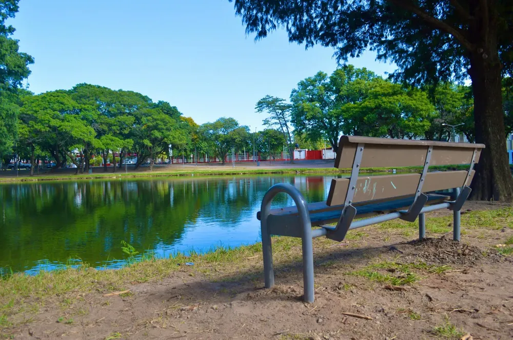 Restauracion-de-banco-de-la-plaza-25-de-mayo-24-02-05-01
