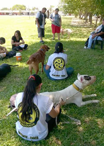 Adiestramiento-canino-Escuela-Yamaguchi-05