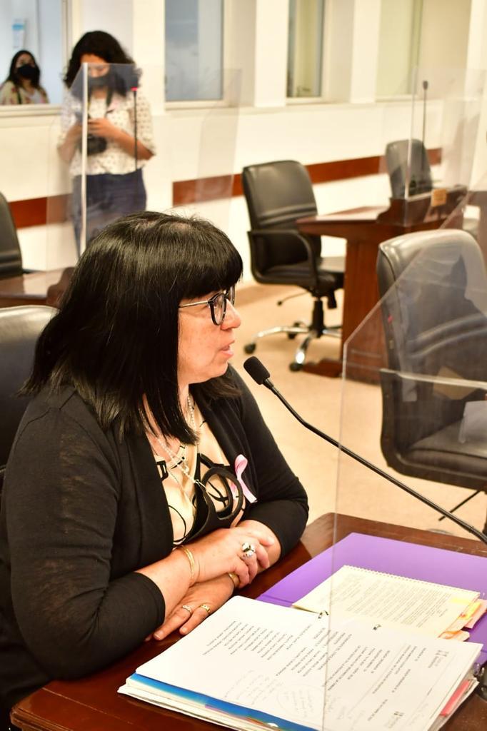 Maria-Teresa-Celada- concejal-de-Resistencia -01