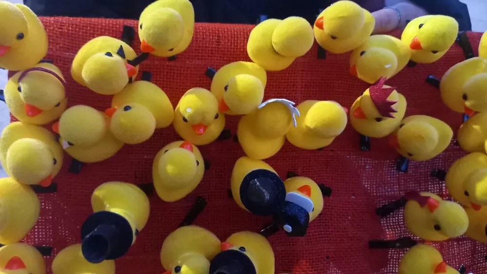 Los-Patitos-24-05-29-02