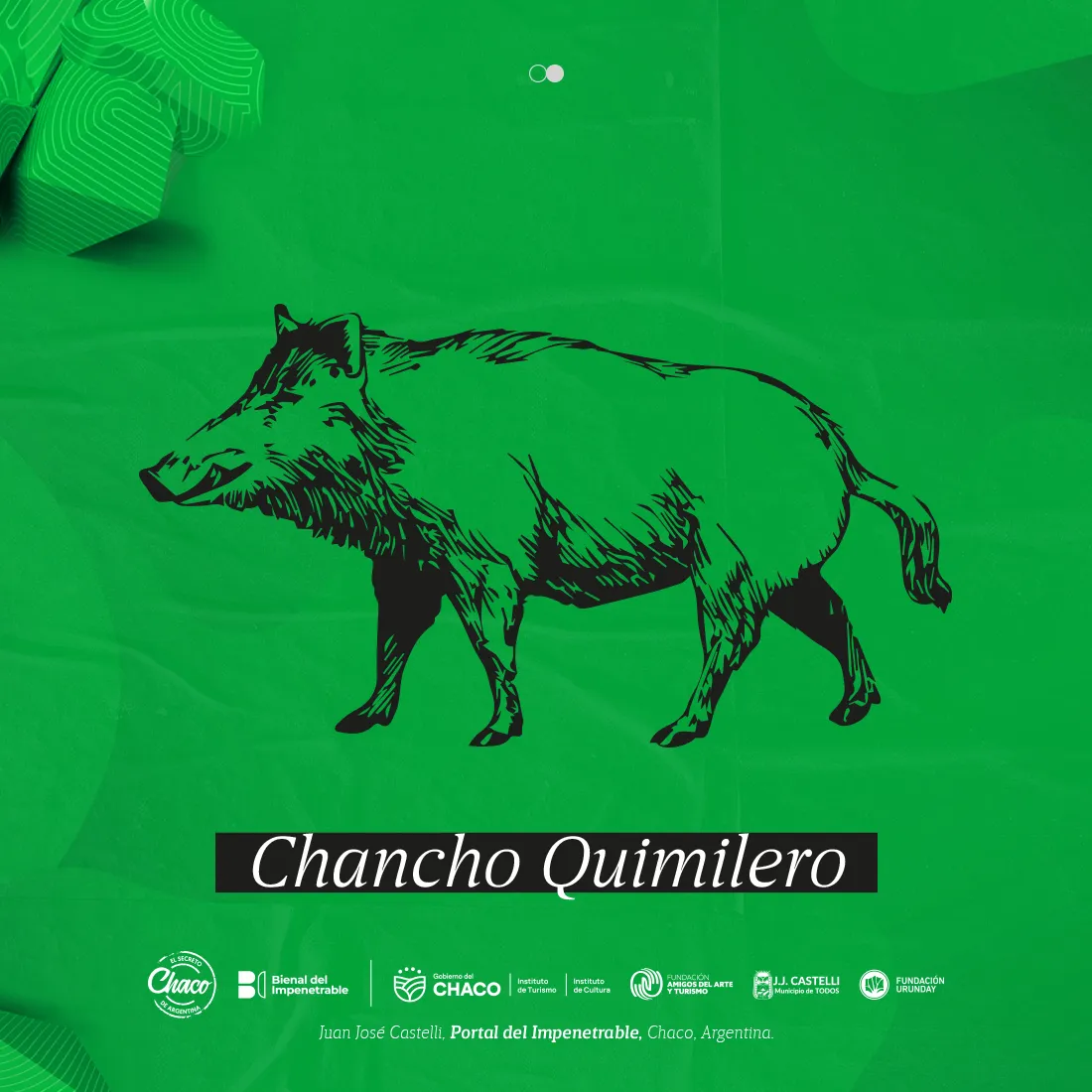 Bienal-del-Impenetrable-24-07-22-07