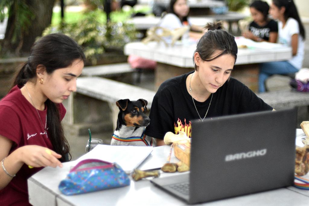 UNNE-Estudiantes