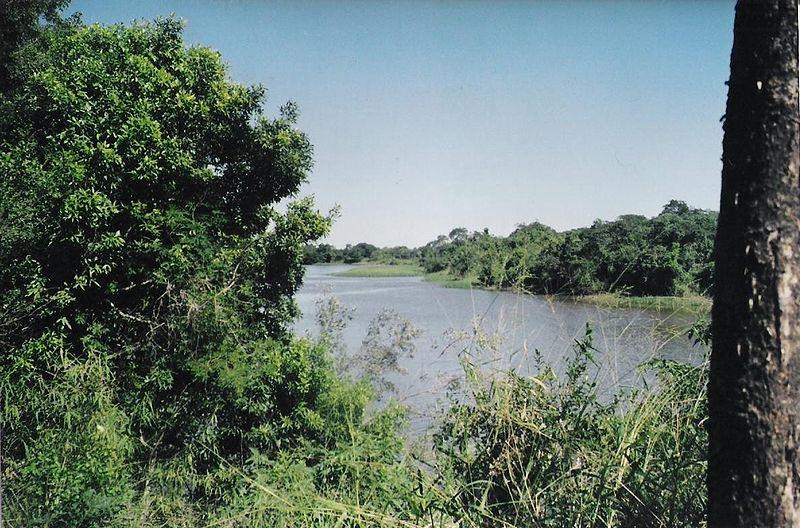 rio-Negro-20-06-07-102