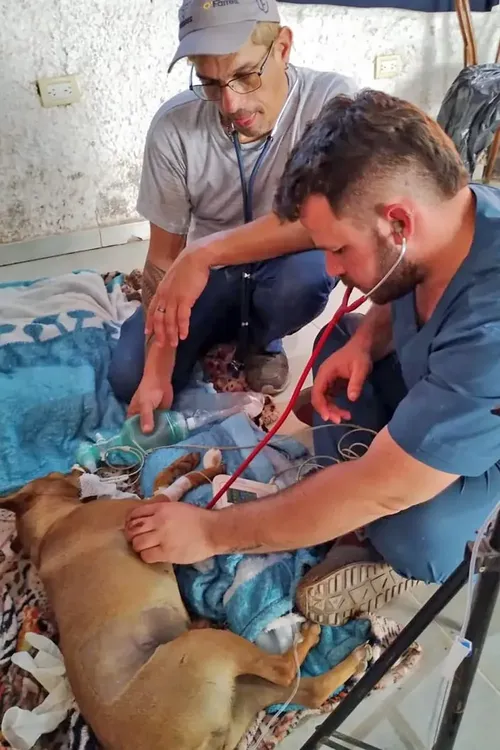 Amigos-veterinarios-del-Impenetrable-23-09-28-13