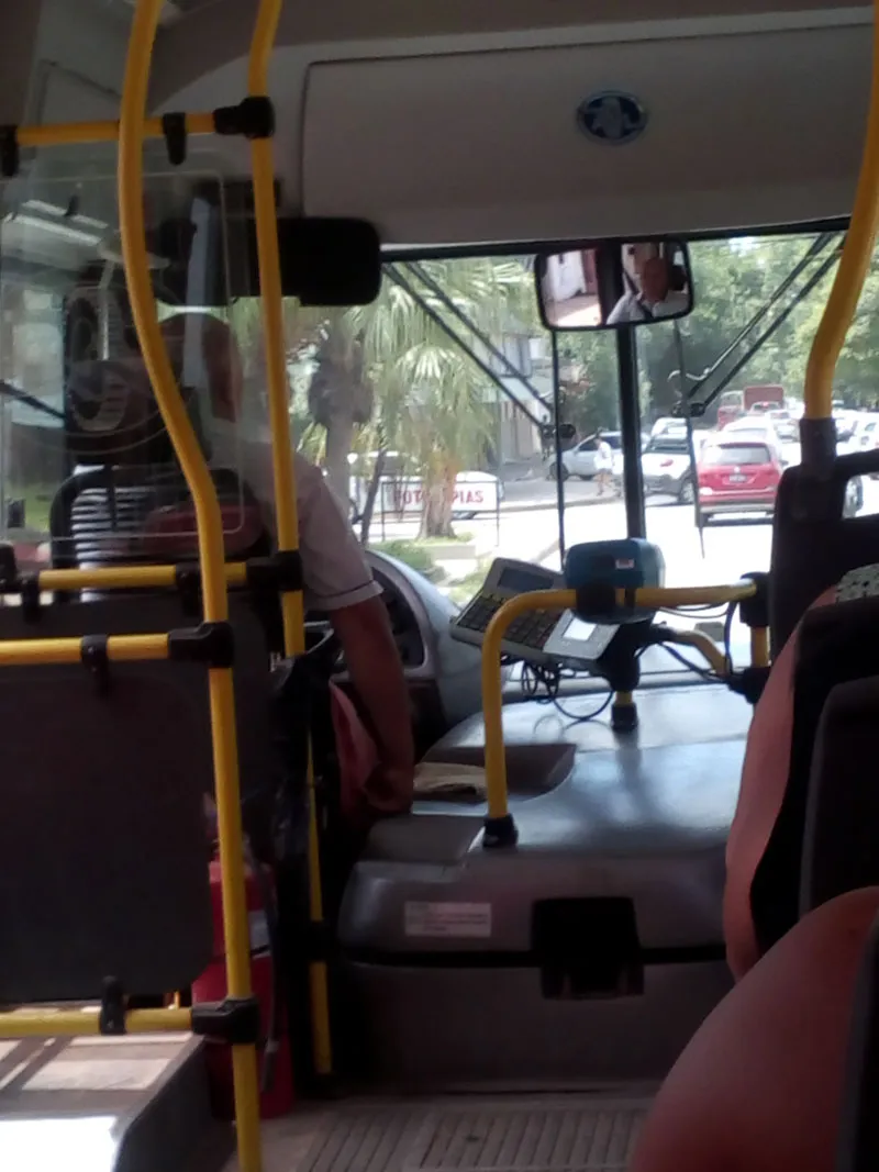 Interior-de-colectivo-01