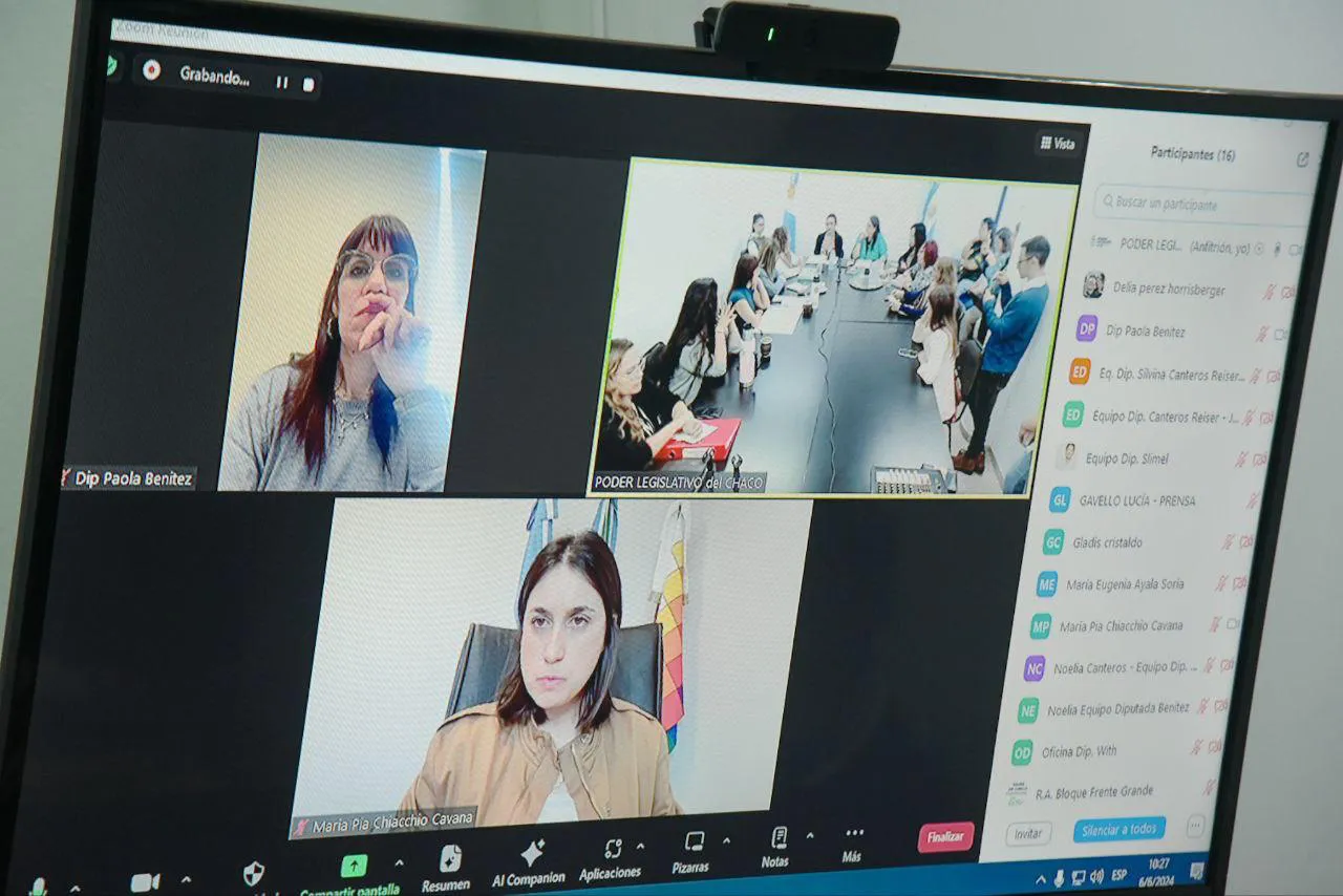 Comision-de-Generos-Diversidades-Familias-y-NNyA-24-06-06-01