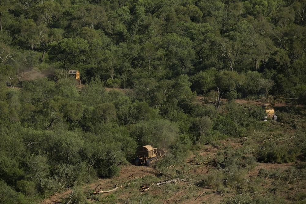 Greenpeace-desmonte-19-05-24-03