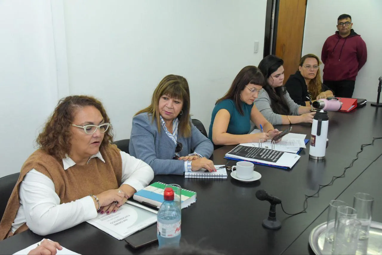Comision-de-Generos-Diversidades-Familias-y-NNyA-24-06-06-04