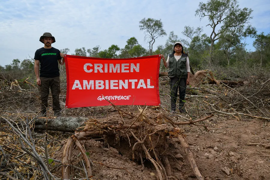 Desmontes-Chaco-19- ©- Martin Katz-Greenpeace-25-08-26-11