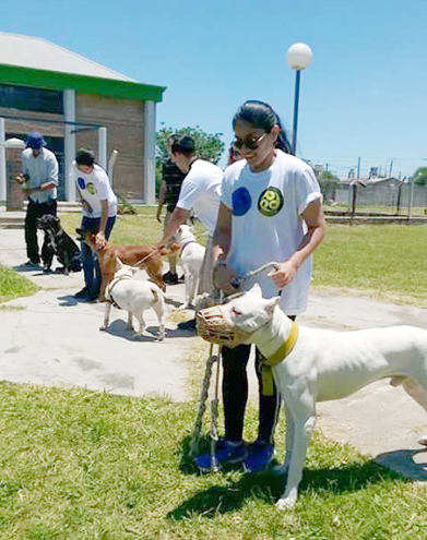 Adiestramiento-canino-Escuela-Yamaguchi-04