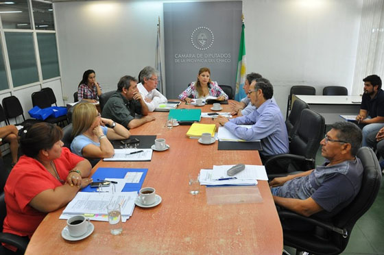 Comision-de-Educacion-Hugo-Sager-16-12-14-01