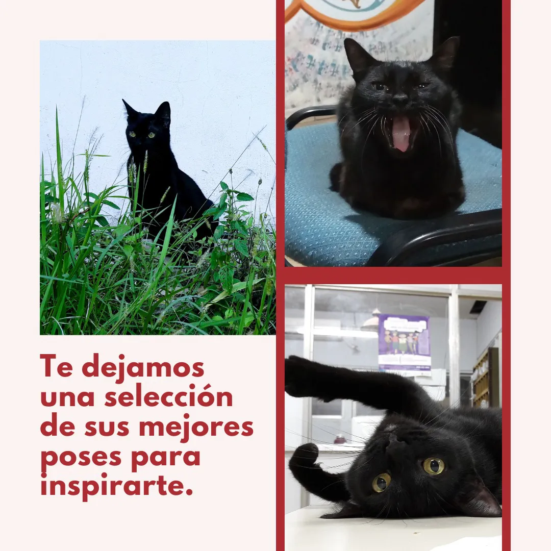 Inspirate-con-la-Coope-25-04-25-02