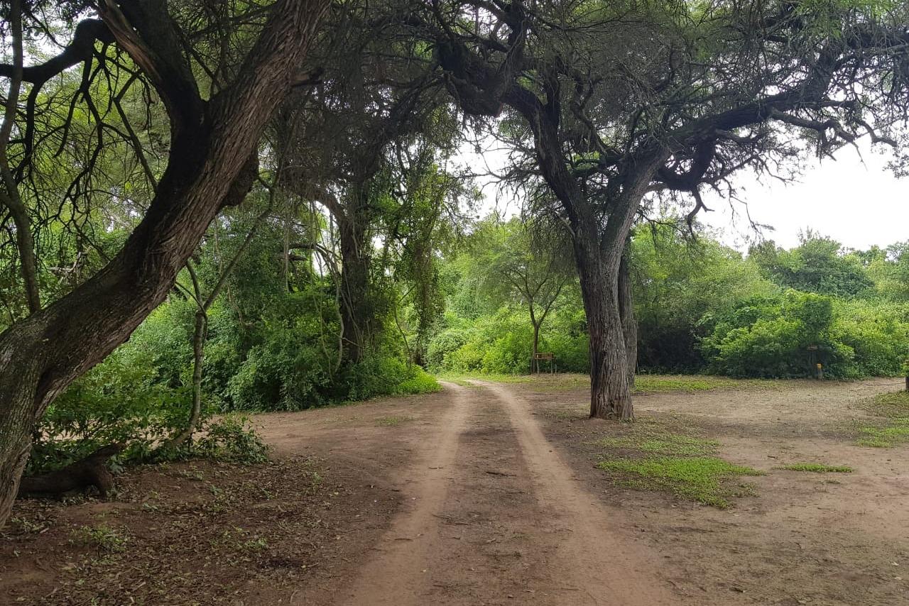 Parque-Nacional-El-Impenetrable-20-08-19-08