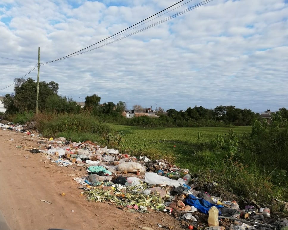 Maria-Teresa-Celada-basurales-19-02-20-02