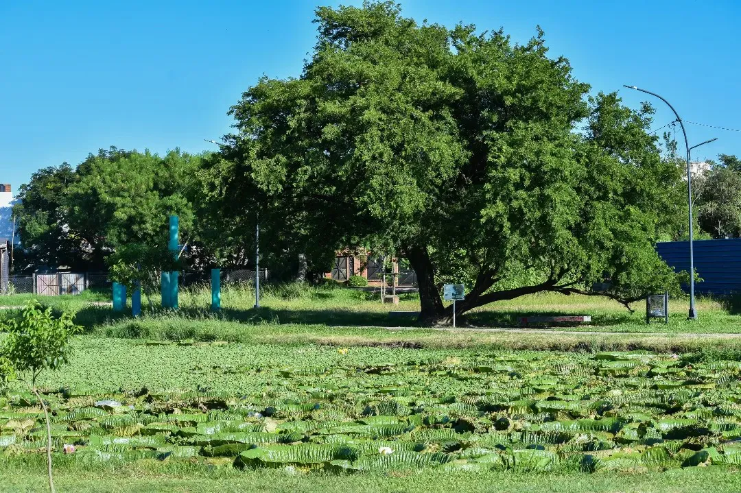 Laguna-Francia-24-02-08-03