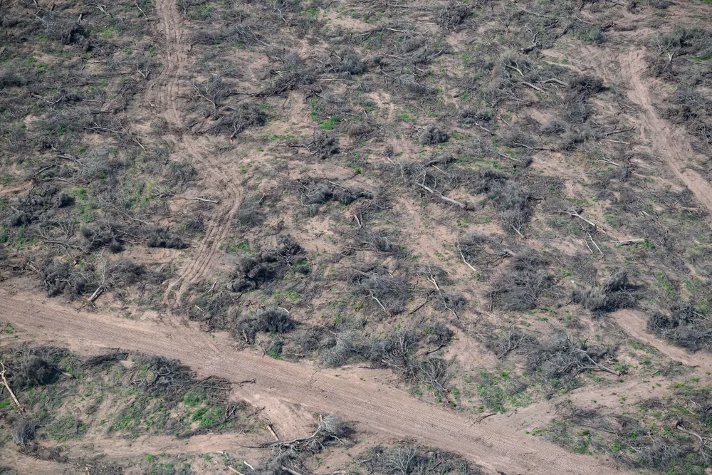 Greenpeace-Desmontes-24-05-30-06