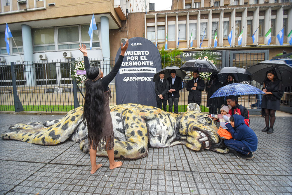 Greenpeace-Velorio-del-Yaguarete-19-05-23-03
