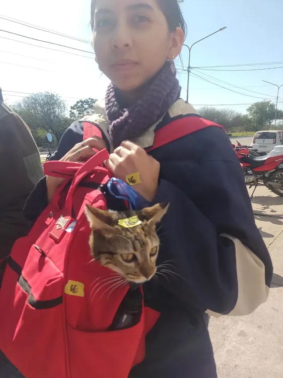 Mision-Animal-Castraciones-24-09-09-05
