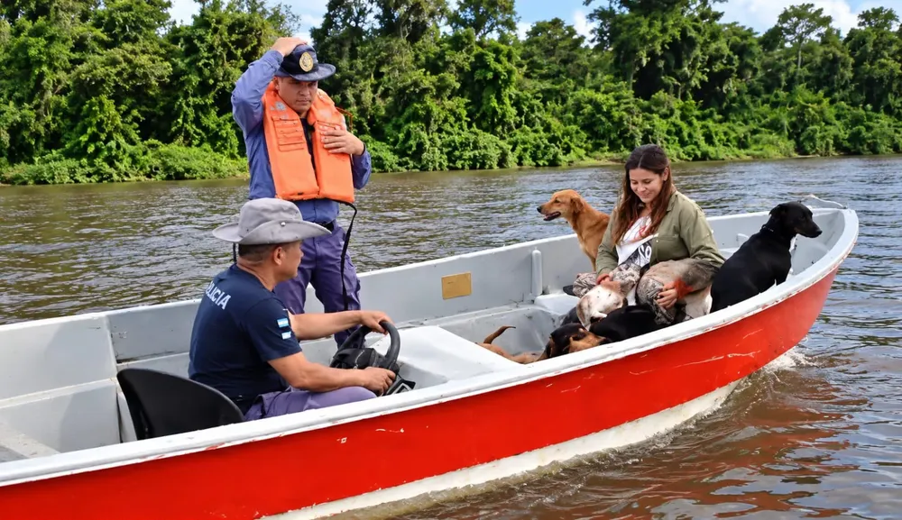 Division-Fluvial-Rescate-de-animales-26-10-22-01