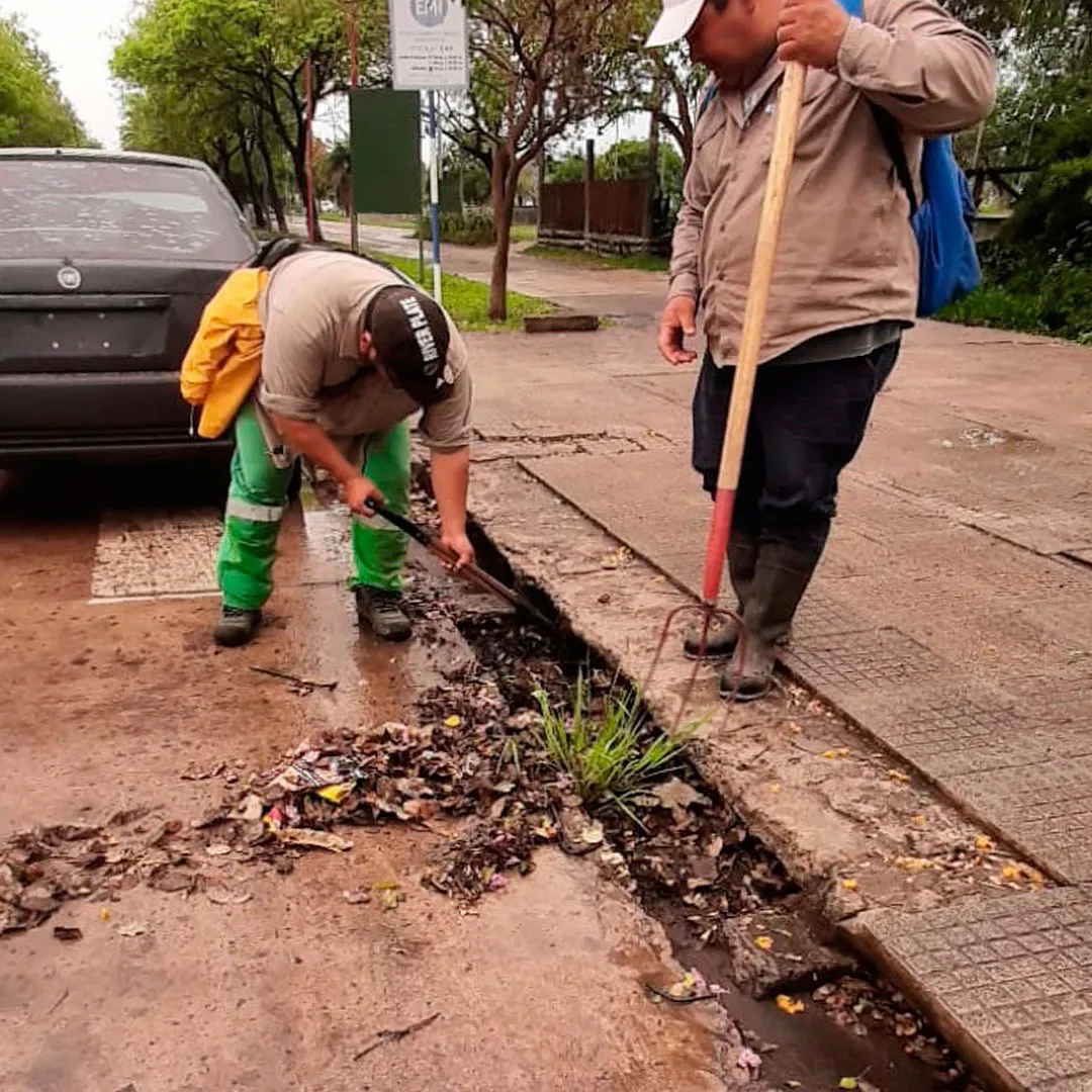 Limpieza-de-desagues-24-10-08-04