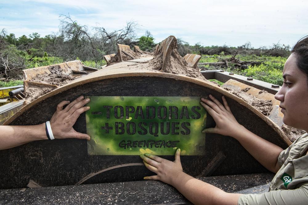 Greenpeace-desmonte-Castelli-19-01-16-08