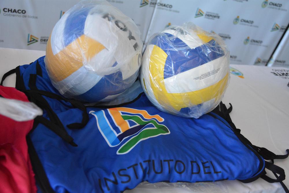 IDCh-Pelotas-de-Voley-22-01-04-01