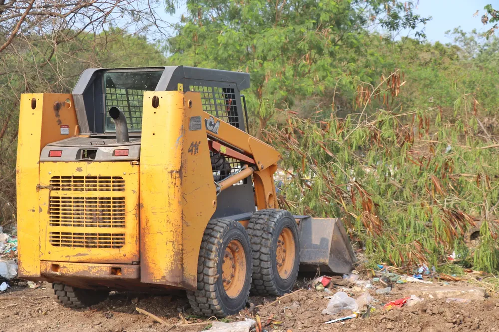 Desmalezado-entre-Edison-y-Espania-24-09-04-02