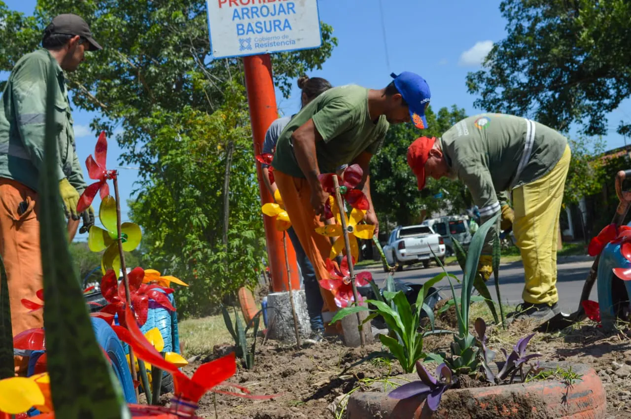 Reconversion-de-minibasurales-24-01-31-04