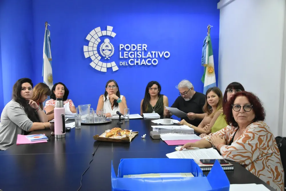 Comision-de-Genero-24-03-19-01