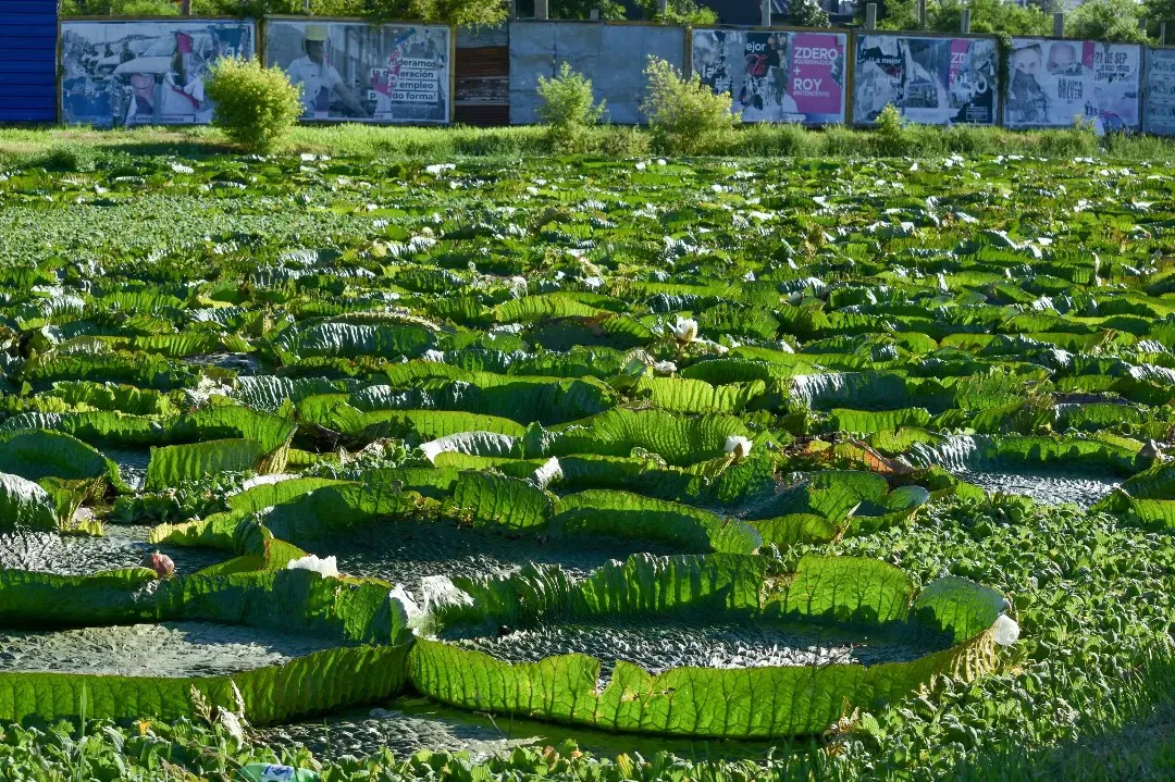 Laguna-Francia-24-02-08-01
