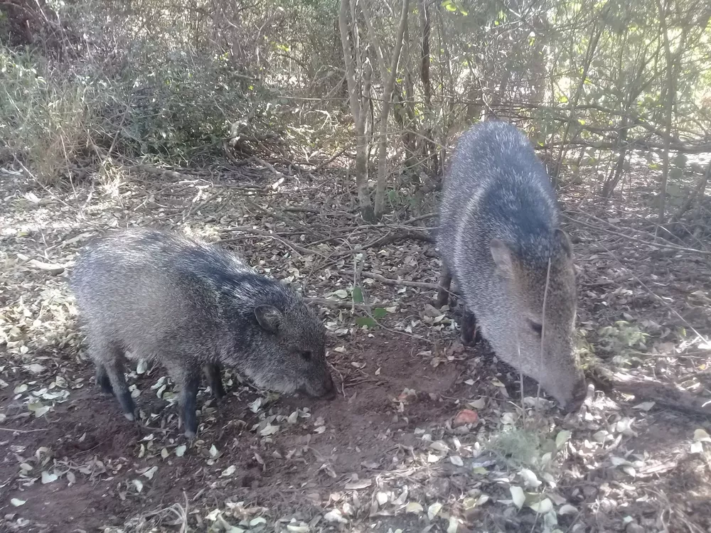 Parque-Natural-Loro-Hablador-22-05-20-13