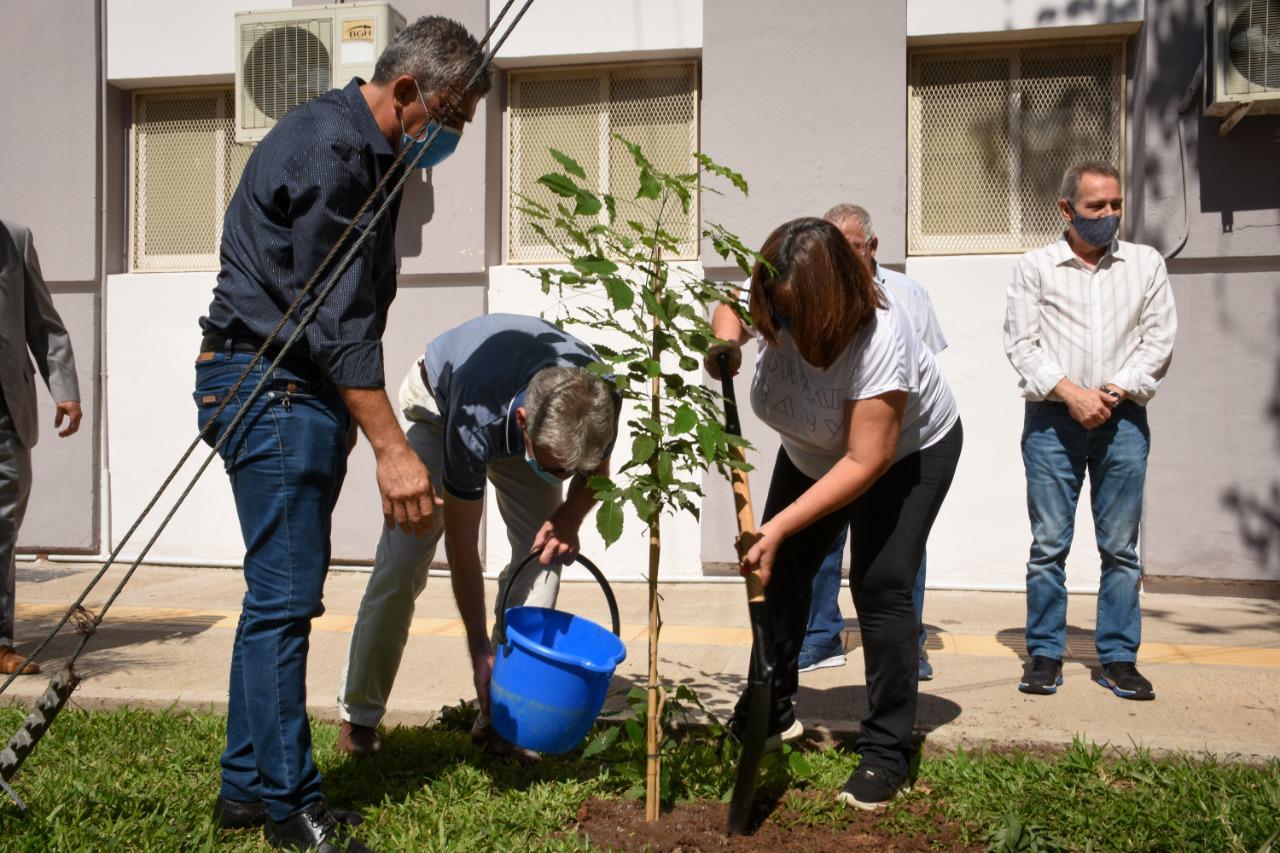 Plantamos-un-arbol-21-'3-24-01