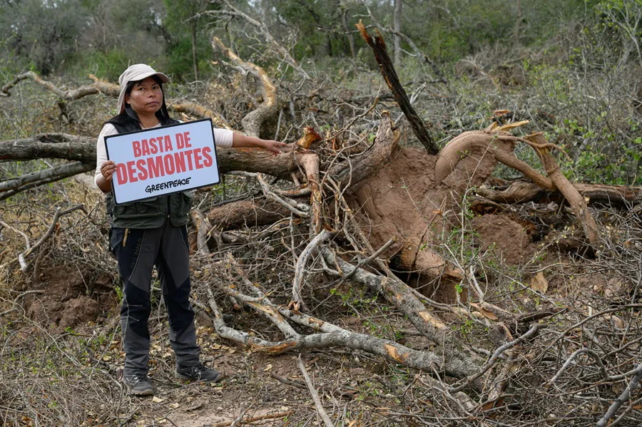 Desmontes_Chaco_13_©_Martin_Katz___Greenpeace-25-08-26-01