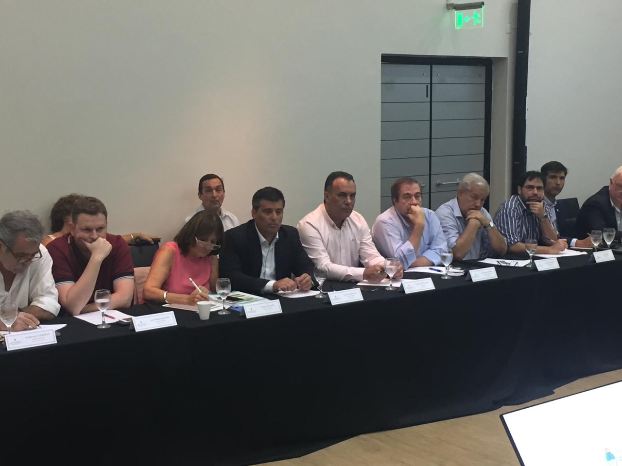 Comision-Nacional-de-Seguimiento-de-Emergencia-Desastre-Agropecuario-19-01-25-01