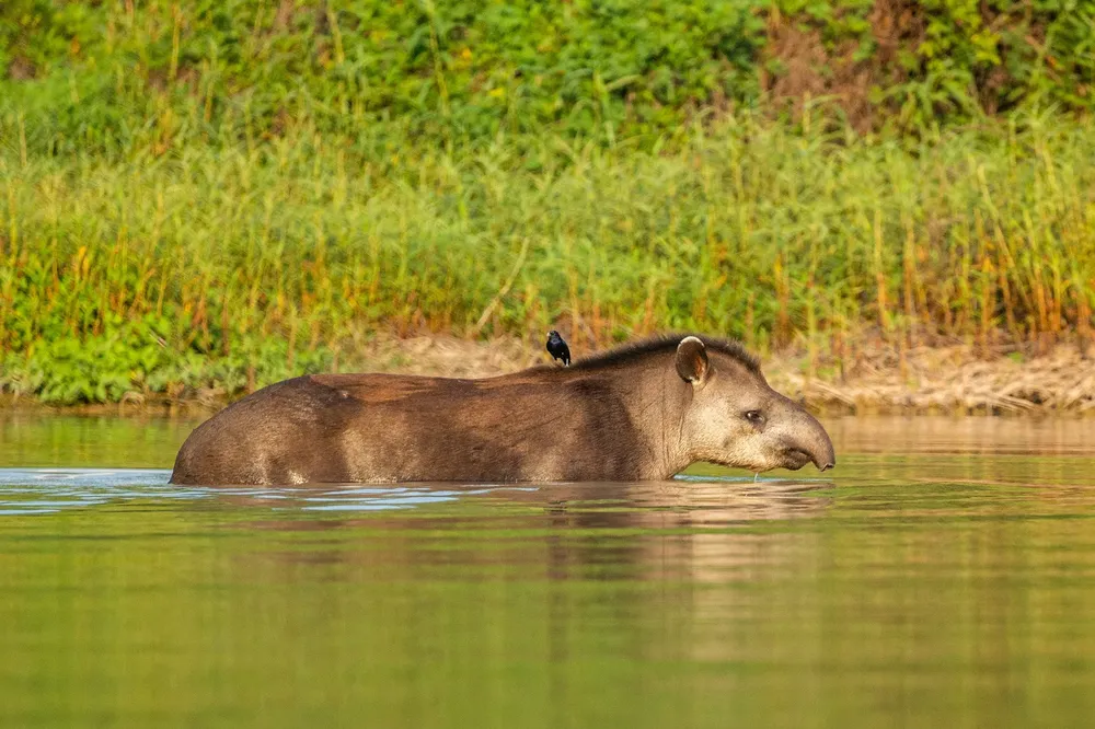 Parque-Nacional-El-Impenetrable-24-07-31-07