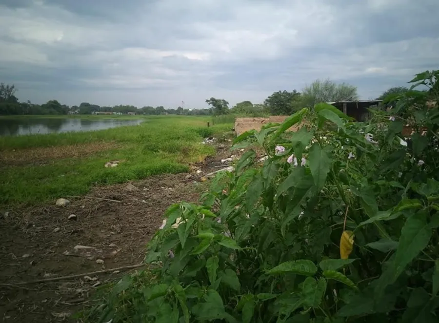 biodiversidad-25-05-23-03