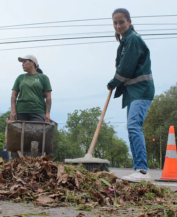 Desmalezado-en-avenida-Velez-Sarfield-24-02-28-04