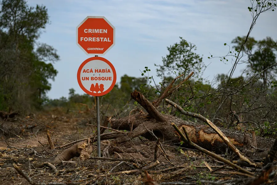 Desmontes-Chaco-19- ©- Martin Katz-Greenpeace-25-08-26-06